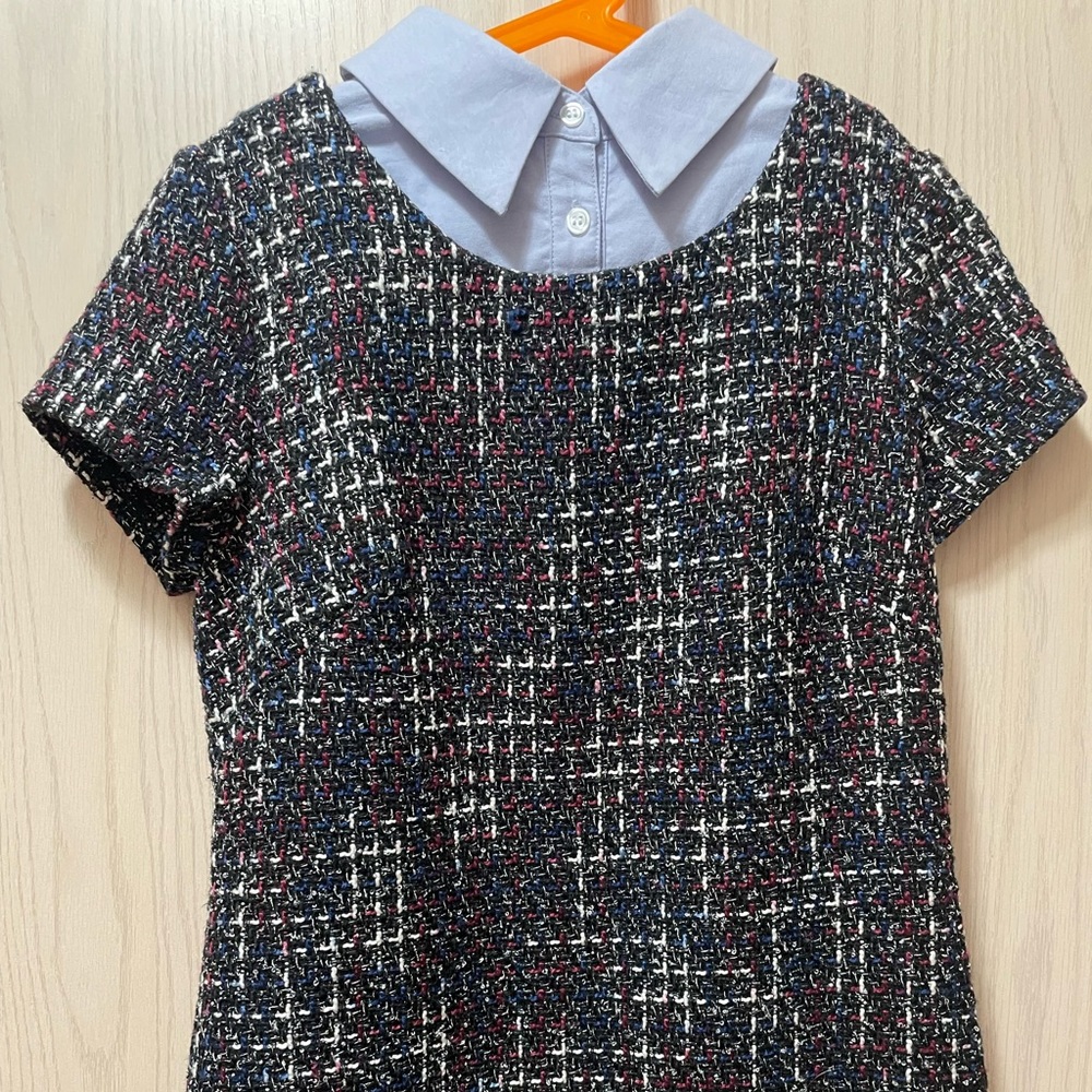 1901 collared dress NWT